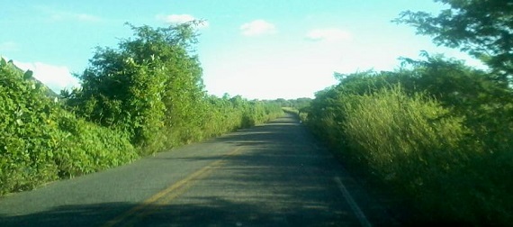 Estrada 11