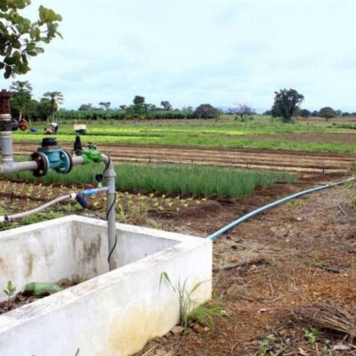 Cinco municípios do RN recebem mutirão para regularização de usuários de água — Foto: Divulgação