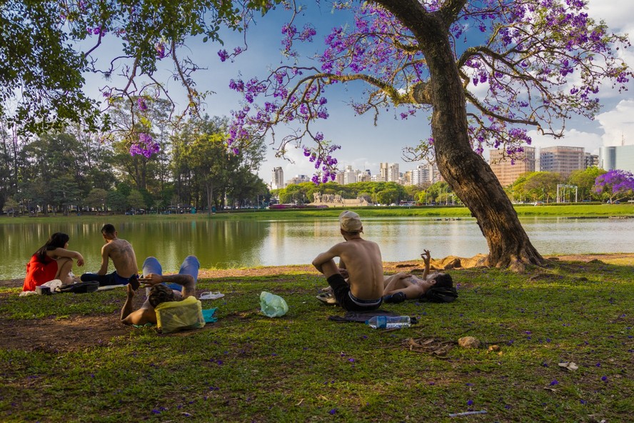Frequentadores do Ibirapuera sentados à beira do lago em dia de calor em São Paulo. Turistas de Rondônia tiveram bicicleta furtada no local