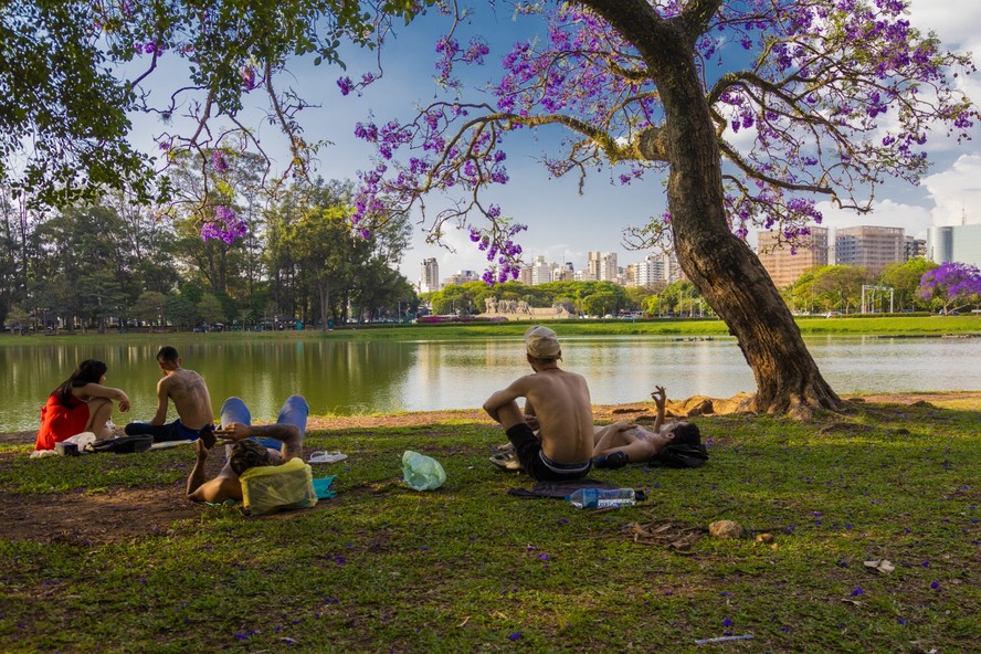 Frequentadores do Ibirapuera buscam sombra em meio ao calorão