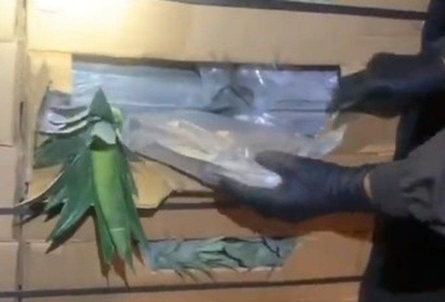 Polícia apreende uma tonelada de cocaína em contêiner de abacaxis, no Equador