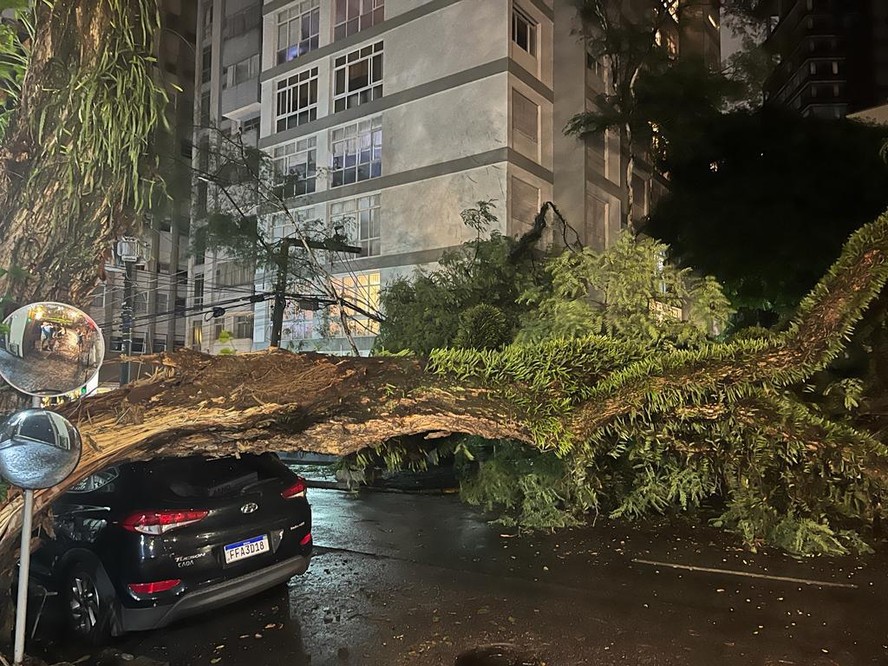 Árvore caída depois da tempestade de sábado interrompeu fornecimento de energia elétrica nos Jardins