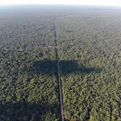 O 'trecho do meio' da BR-319 é uma das regiões mais bem preservadas da Floresta Amazônica