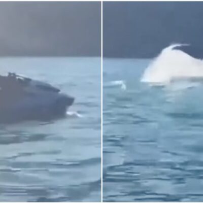 Jair Bolsonaro parado em cima de um jet ski filmando uma baleia no litoral de SP