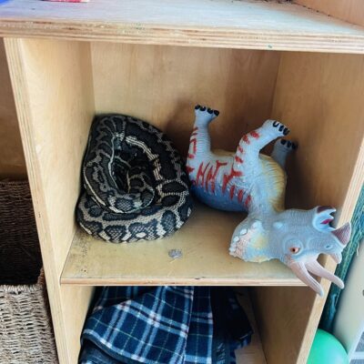 Cobra encontrada pela equipe de McKenzie em uma prateleira de brinquedos