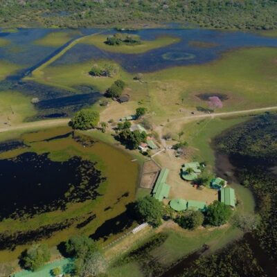 Quase metade do Pantanal são campos naturais que ficariam desprotegidos pela nova regulamentação