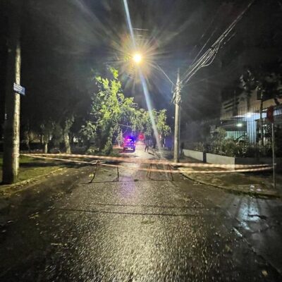 Temporal e ventos de 90 km/h causam estragos em Porto Alegre e deixam bairros sem energia