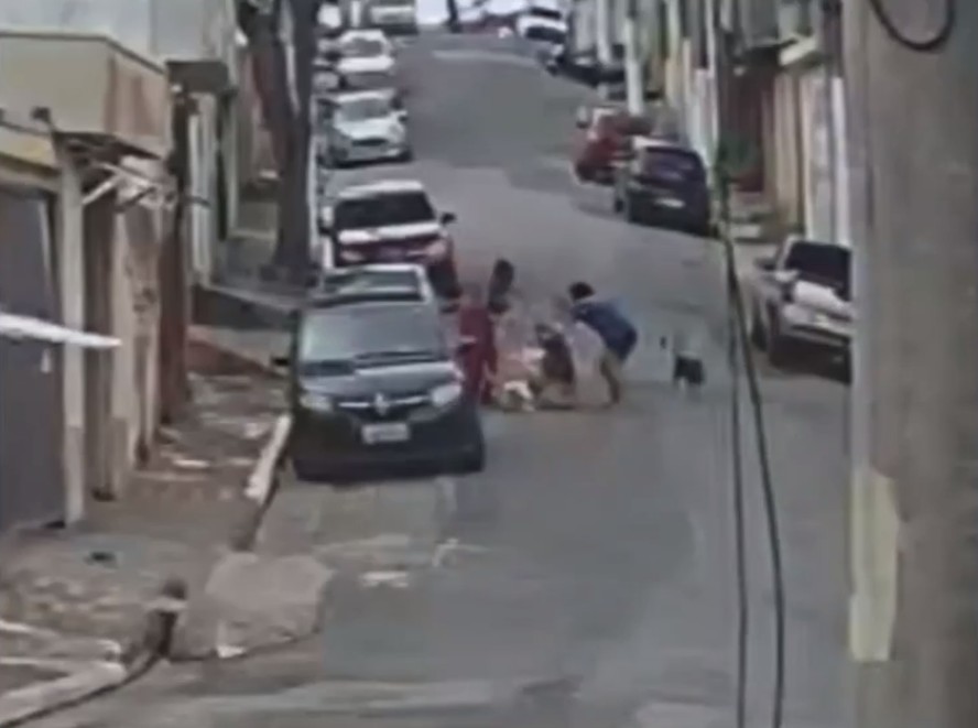 Pitbull ataca homem na Zona Leste de São Paulo