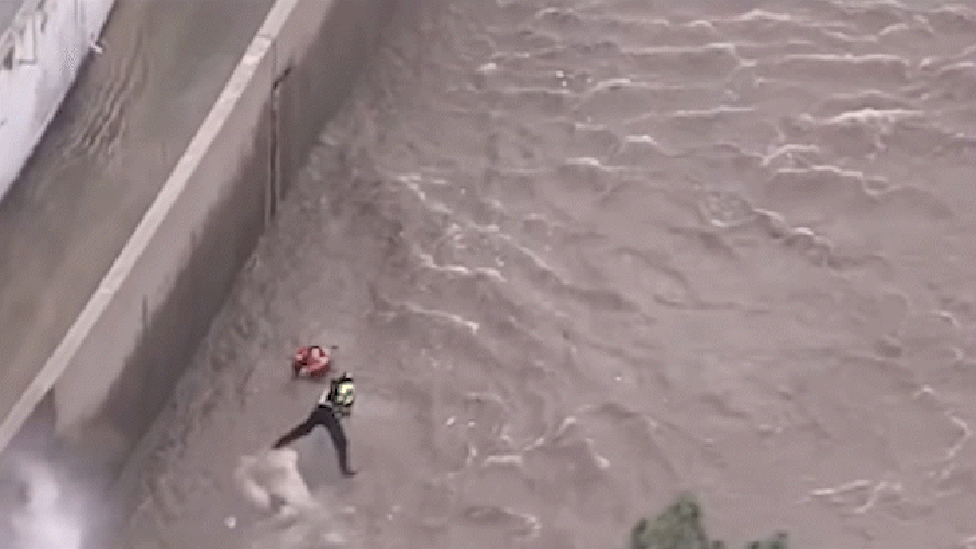 Vídeo mostra resgate 'cinematográfico' de mulher arrastada por rio durante tempestade em Los Angeles; assista