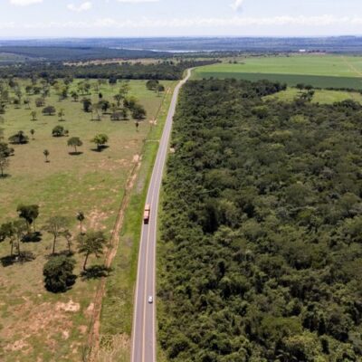 Desmatamento em área do cerrado no Mato Grosso do Sul