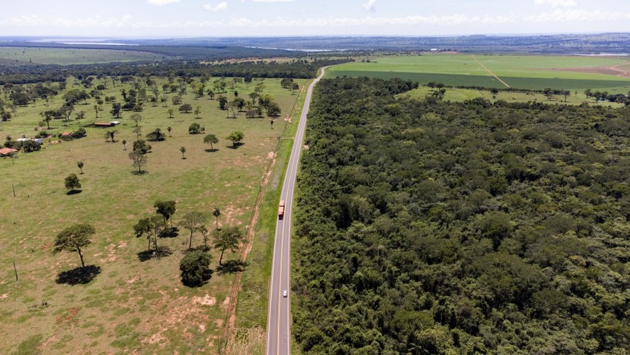 Desmatamento em área do cerrado no Mato Grosso do Sul