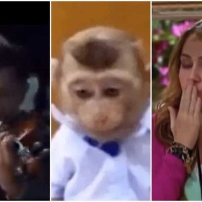 Titanic afundando, macaquinho triste e o último adeus de Hannah Montana: o brasileiro apostou nos clássicos dos memes -  (crédito: Reprodução/X/Twitter/@yokohama_kikou/@frannybnks /@laurmlkr)
