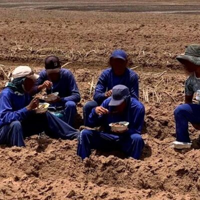 Trabalhadores resgatados em fazendas próximas a João Pinheiro (MG) eram obrigados a fazer as refeições no meio da plantação de cana-de-açúcar