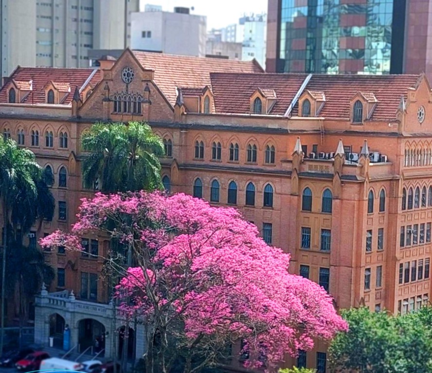 Fachada da Santa Casa de São Paulo