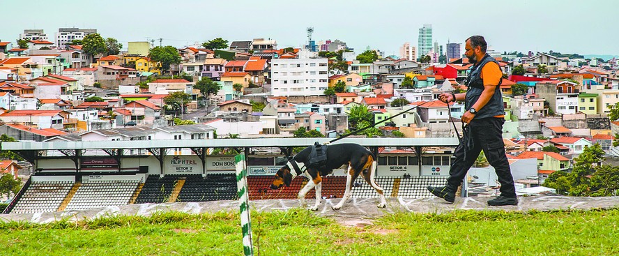 O adestrador Jorge Pereira desenvolveu um método de buscas de animais depois de viver a angústia de procurar seus dois cães