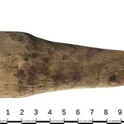 Os pesquisadores acreditam que, dado o seu tamanho natural, o objeto de madeira pode ter sido usado com intuito sexual