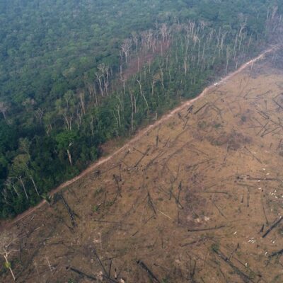 Imagem aérea mostra fronteira entre a selva amazônica a área degradada por queimadas a mando de madeireiros e fazendeiros, em Apuí, no AmazonasREUTERS
