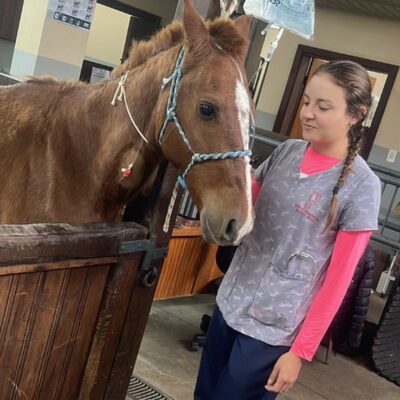 Caramelo ao lado de uma voluntária da Ulbra: cavalo vem recebendo tratamento de fluidoterapia
