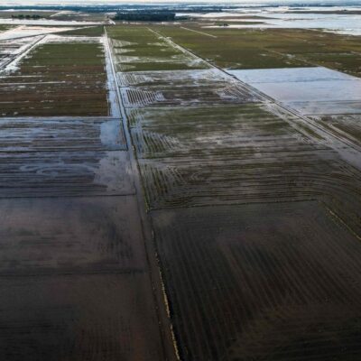 Plantação de arroz inundada no Rio Grande do Sul