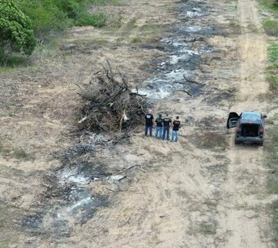 Desmatamento em área de preservação ambiental no interior do RN é investigado pela Polícia Federal — Foto: PF/Divulgação