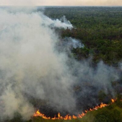 No total, 17.182 incêndios foram registrados nos primeiros quatro meses do ano -  (crédito:  AFP)