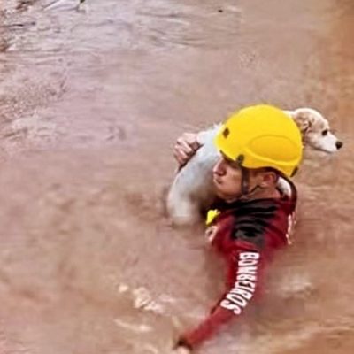 'Até a última vida': bombeiro salva cão durante temporal no RS
