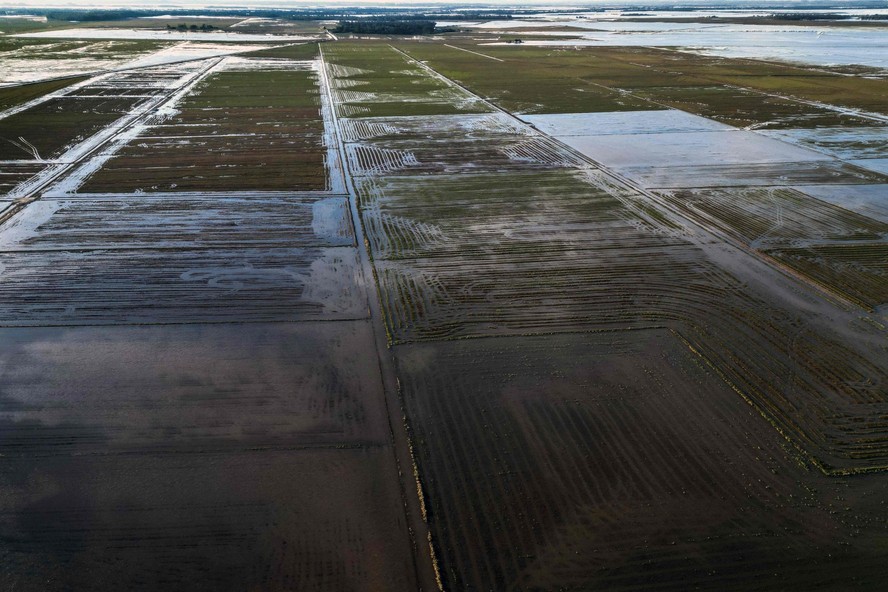 Plantação de arroz inundada no Rio Grande do Sul: governo comprou arroz no exterior para evitar alta de preço