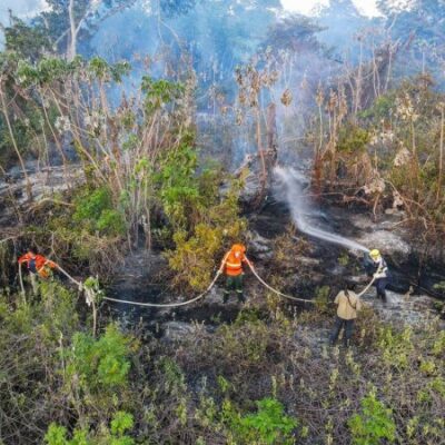 Somente em junho, já foram registradas 2.473 ocorrências de incêndio em todo o bioma. 
 -  (crédito: Gustavo Figueiroa/SOS Pantanal)