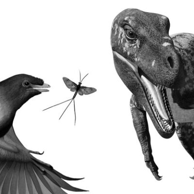 Livro cataloga 54 espécies de dinossauros brasileiros
