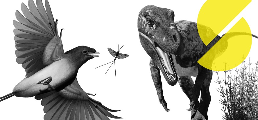 Livro cataloga 54 espécies de dinossauros brasileiros