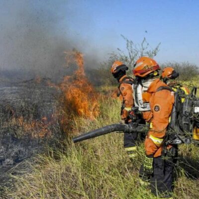 Bombeiros em ação no combate a incêndios florestais em Mato Grosso do Sul: fenômeno é maior do que a capacidade de contenção -  (crédito:  AFP)
