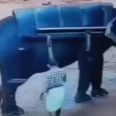 Elefante Lakshmi era mantida em um centro turístico