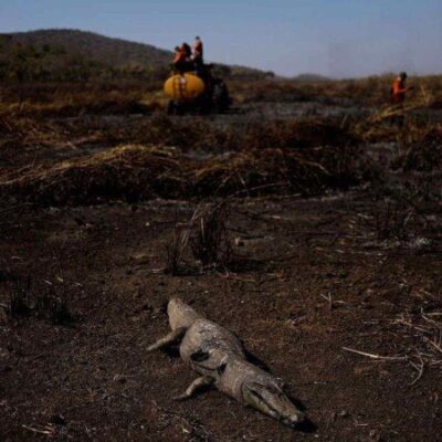 Corumbá (MS) é o município brasileiro que mais queimou entre 1985 e 2023, de acordo com um levantamento realizado pelo MAPBiomas -  (crédito: Ueslei Marcelino/Reuters)