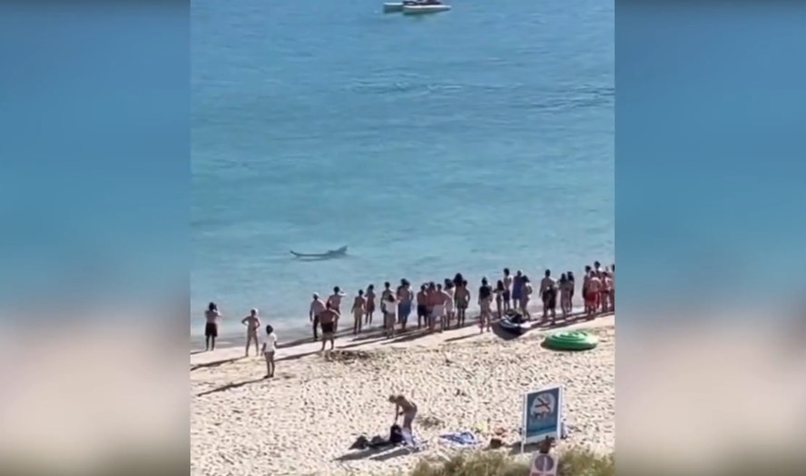 Tubarão de três metros causa pânico entre os banhistas em uma praia espanhola lotada depois de se aproximar da costa