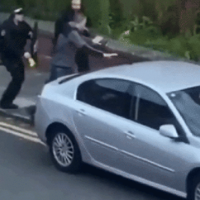 Policiais perseguem e matam a tiros cão American Bully que atacou mulher na Inglaterra; veja vídeo