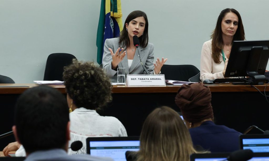 Brasília – DF – 16/06/2026 – Reunião do Grupo de Trabalho da Câmara sobre Crimes Praticados em Razão de Misoginia.  Foto Lula Marques/Agência Brasil.