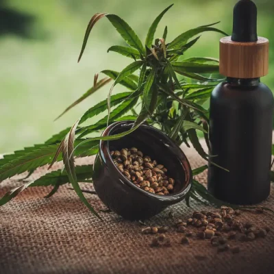 23/06/2023 - óleo de canabis, canabidiol, cbd, thc. Foto: CBD-Infos-com/ Pixabay