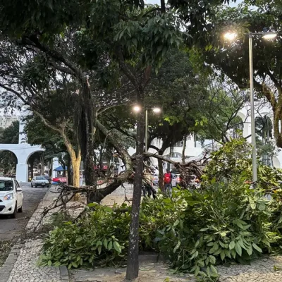 Rio de Janeiro - 29/07/2026 - ventania causa estragos no Rio. Foto Tânia Rêgo/Agência Brasil