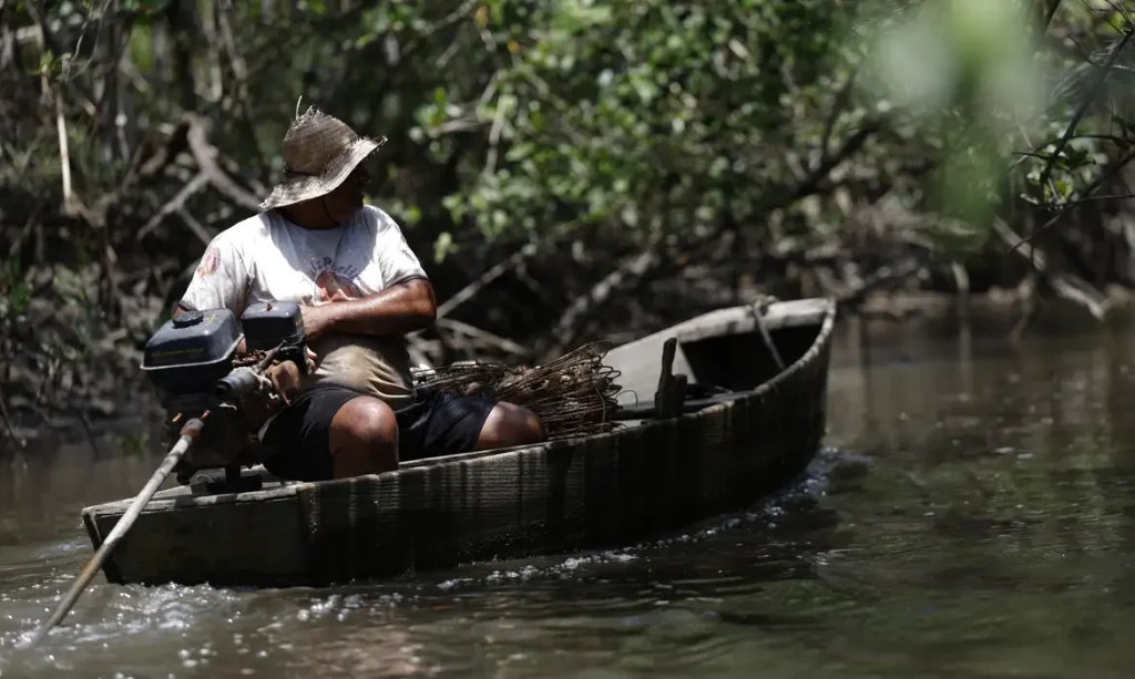 Magé (RJ), 15/10/2024 - Pesca artesanal em manguezal na Piedade banhado pelo Rio Majé, que desagua na Baía de Guanabara. Foto: Fernando Frazão/Agência Brasil
