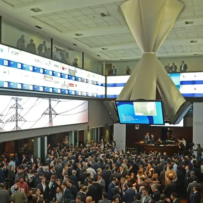 São Paulo - Agência Nacional de Energia Elétrica (Aneel) realiza leilão para a construção, operação e manutenção de 4.919 Km de linhas de transmissão, na Bolsa de Valores B3 (Rovena Rosa/Agência Brasil)