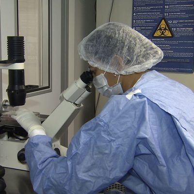 Pesquisadores da UFRJ conseguiram fazer o sequenciamento do genoma do vírus Zika