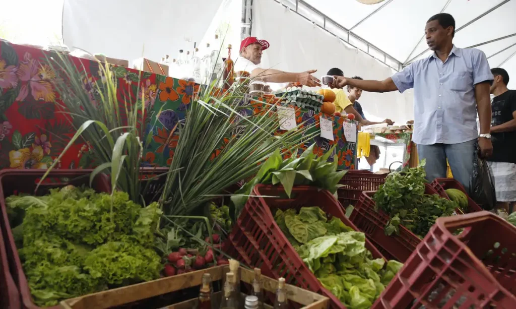 Rio de Janeiro - Hortaliças e verduras orgânicas à venda na IX Feira Estadual da Reforma Agrária Cícero Guedes, no Largo da Carioca, região central da cidade.  (Foto: Tânia Rêgo/Agência Brasil)