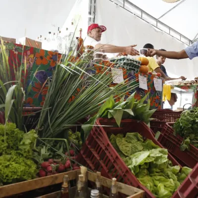 Rio de Janeiro - Hortaliças e verduras orgânicas à venda na IX Feira Estadual da Reforma Agrária Cícero Guedes, no Largo da Carioca, região central da cidade. (Foto: Tânia Rêgo/Agência Brasil)