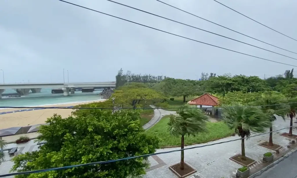 Árvores balançam com os ventos fortes à medida que o tufão Dolphin se aproxima, em Naha, na província de Okinawa, Japão, em 7 de agosto de 2026, nesta captura de tela obtida de um vídeo nas redes sociais. Foto: SleepdeeplyGG/X/via REUTERS/Proibida Reprodução