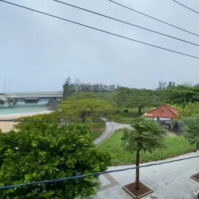 Árvores balançam com os ventos fortes à medida que o tufão Dolphin se aproxima, em Naha, na província de Okinawa, Japão, em 7 de agosto de 2026, nesta captura de tela obtida de um vídeo nas redes sociais. Foto: SleepdeeplyGG/X/via REUTERS/Proibida Reprodução