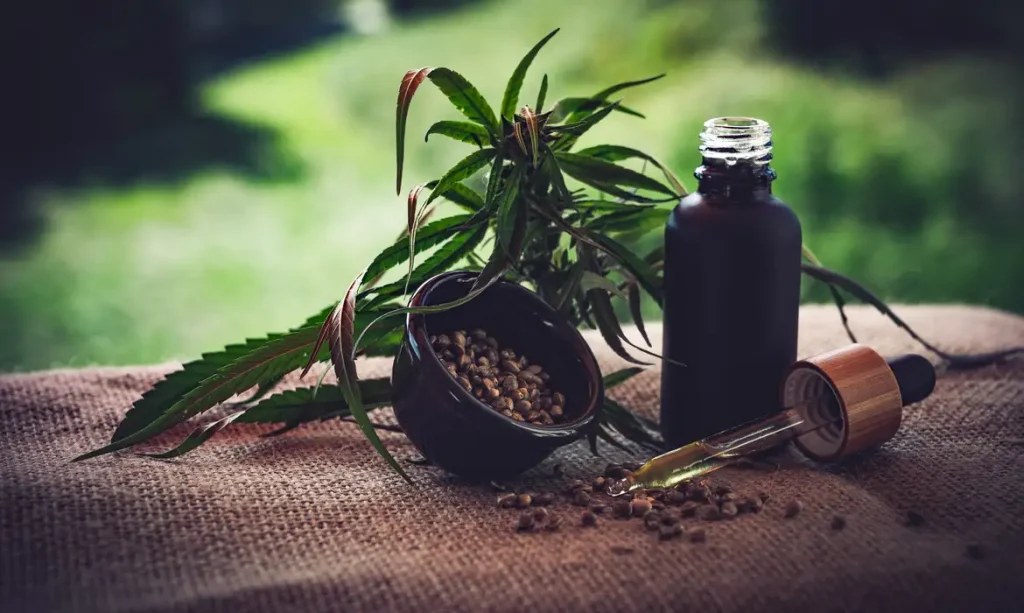 23/06/2023 - óleo de canabis, canabidiol, cbd, thc. Foto: CBD-Infos-com/ Pixabay