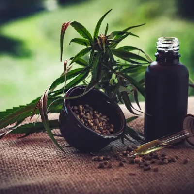 23/06/2023 -  óleo de canabis, canabidiol, cbd, thc. Foto: CBD-Infos-com/ Pixabay