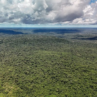 14/05/2026 - Belterra - Floresta
Nacional do Tapajós - Pará - Na comunidade de Piquiatuba, dentro da Floresta
Nacional do Tapajós, Elton Vasconcelos criou um
negócio que une culinária regional, turismo de
experiência e desenvolvimento comunitário.
A Casa do Eltom virou referência para visitantes que
buscam viver a Amazônia real: sabores locais, trilhas,
hospitalidade e conexão com a floresta. E é exemplo
vivo do turismo de base comunitária.
O empreendimento agora amplia sua atuação com
passeios turísticos e hospedagem, incluindo a
implantação de chalés após conseguir aporte de R$
200 mil de investidores e alta demanda já na fase
inicial. Foto: Rafa Neddermeyer/Agência Brasil