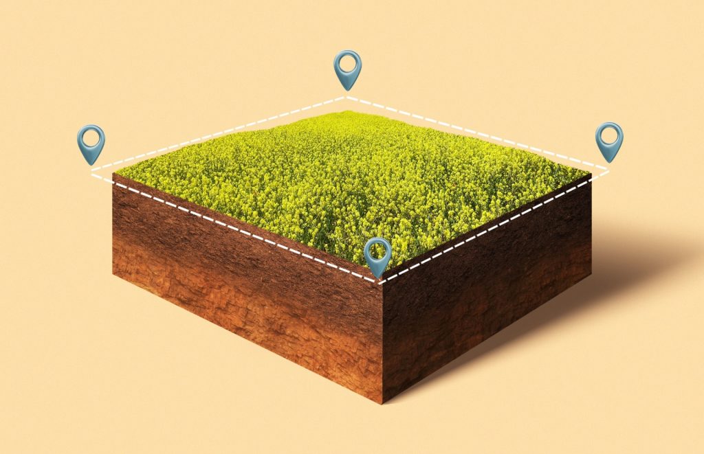 Ilustração tridimensional de um bloco retangular de terra coberto por vegetação amarela, demarcado em seus vértices por linhas tracejadas brancas e quatro ícones azuis de localização.