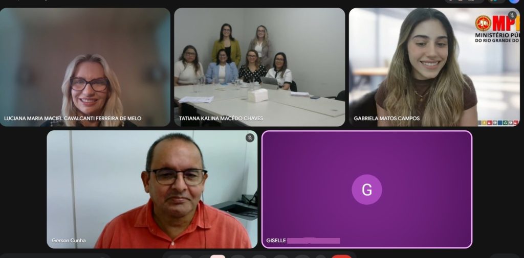 print de reuniao virtual
